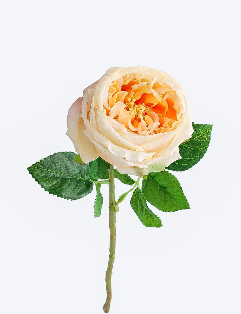 Real Touch English Austin Rose Single Stem - Flovery