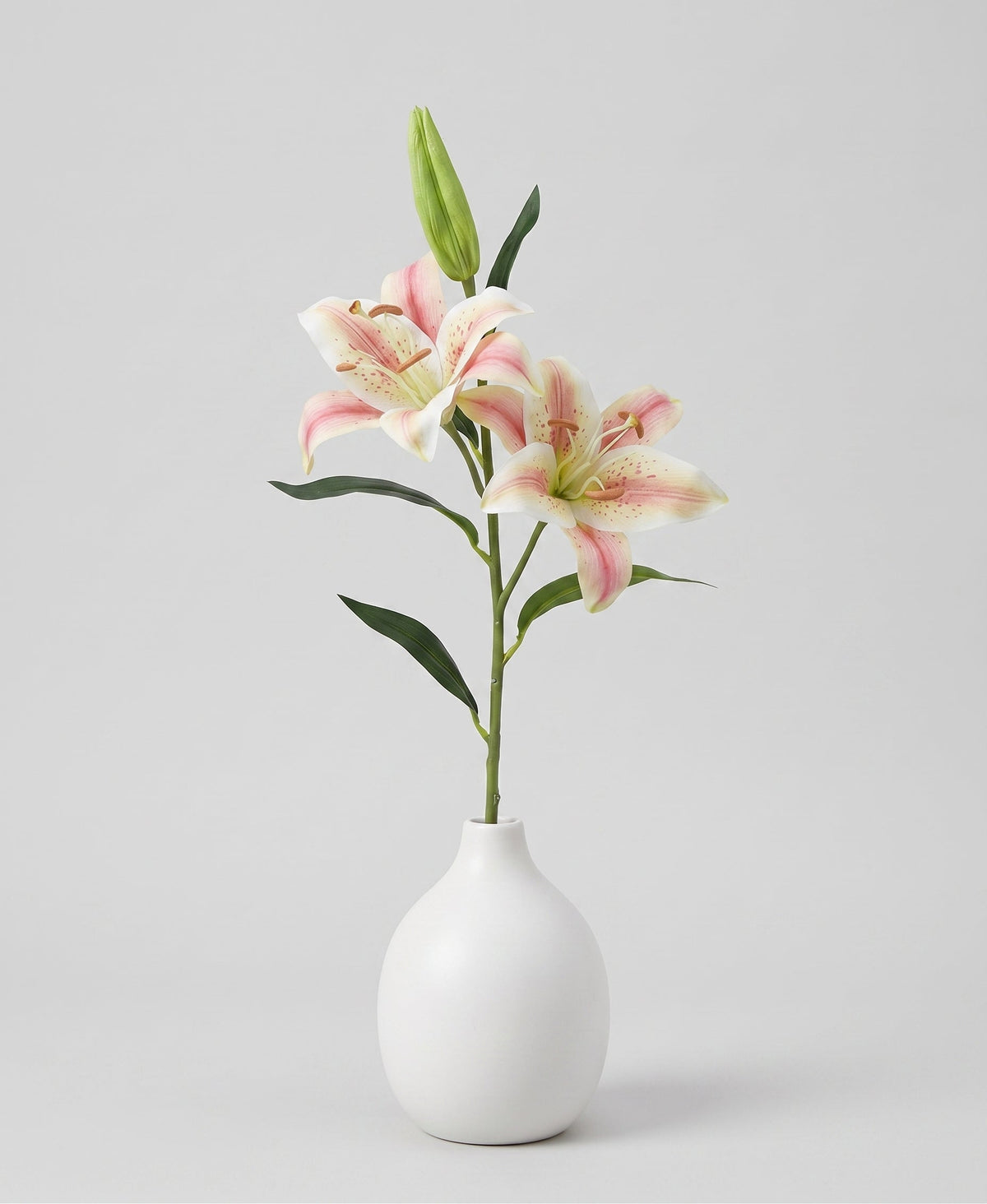 Casablanca Real Touch Large Lily Single Stem - Champagne (edited)