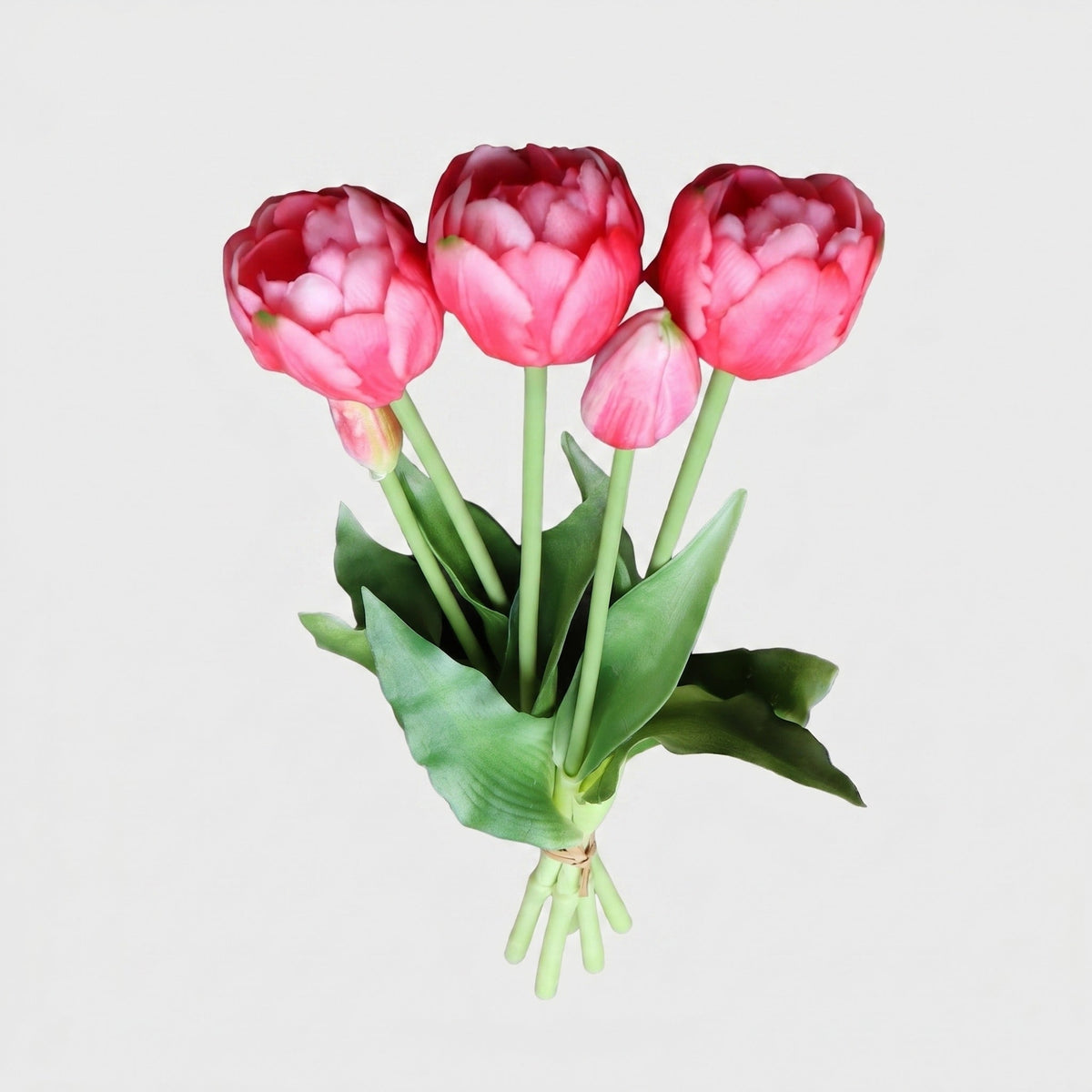 5 Peony & Tulip Bundle - Deep Pink (Studio Gray)