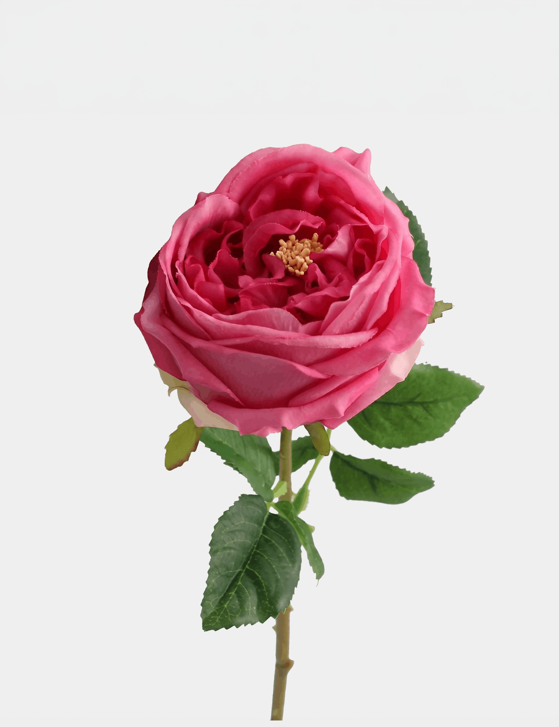 Real Touch English Austin Rose Single Stem Secondary image