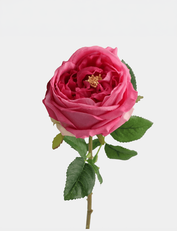 Real Touch English Austin Rose Single Stem - Flovery