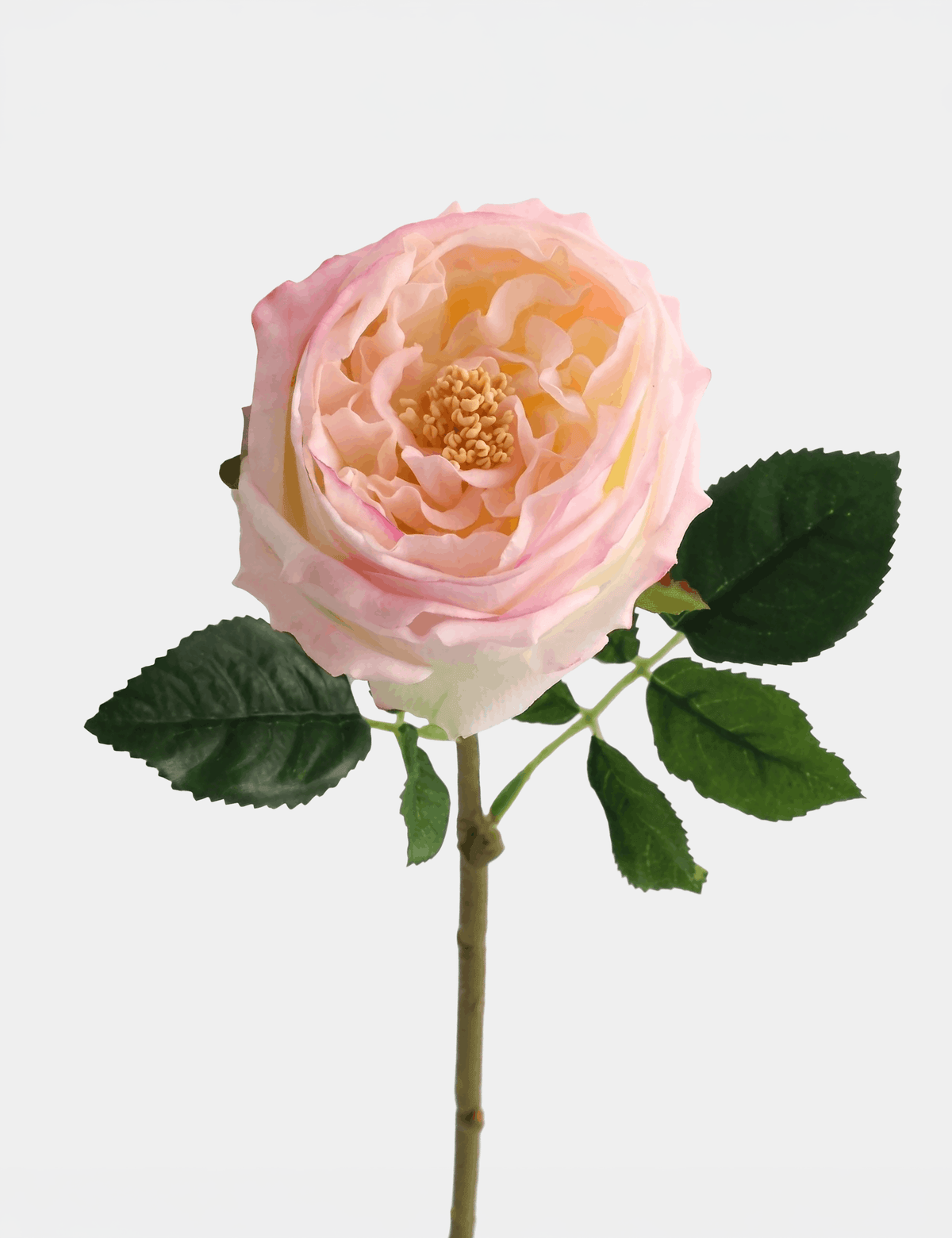 Real Touch English Austin Rose Single Stem - Flovery