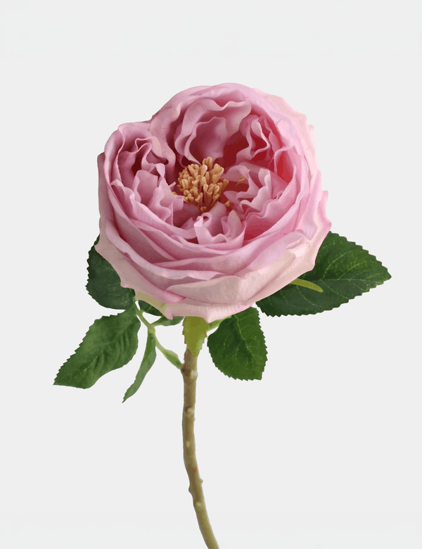 Real Touch English Austin Rose Single Stem - Flovery