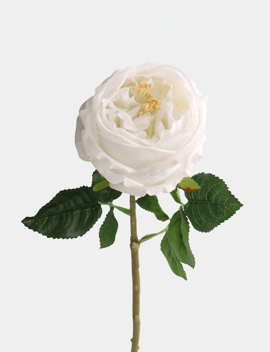 Real Touch English Austin Rose Single Stem - Flovery