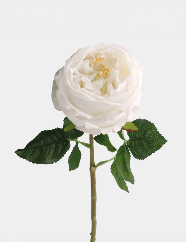 Real Touch English Austin Rose Single Stem - Flovery