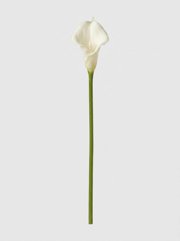 Large Calla Lily Single Stem - White - full stem (Studio Gray)