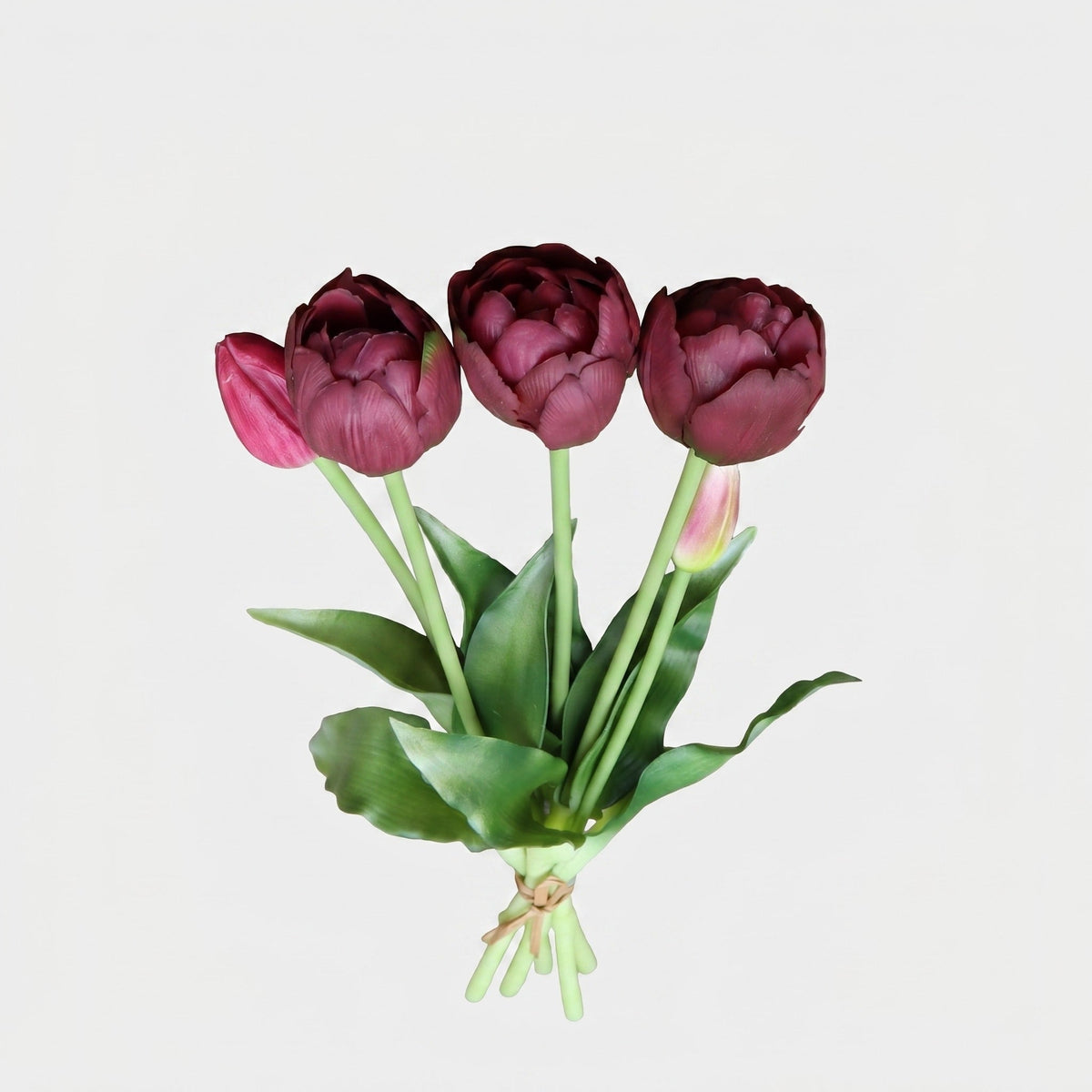 5 Peony & Tulip Bundle - Deep Purple (Studio Gray)