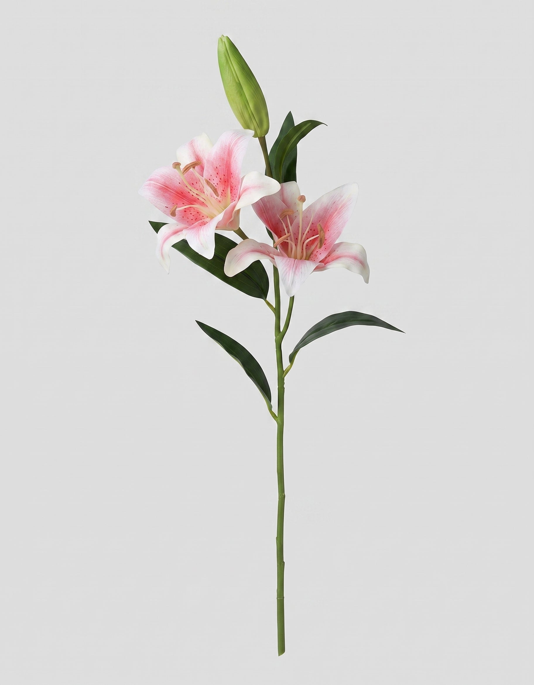 Casablanca Real Touch Large Lily Single Stem Secondary image