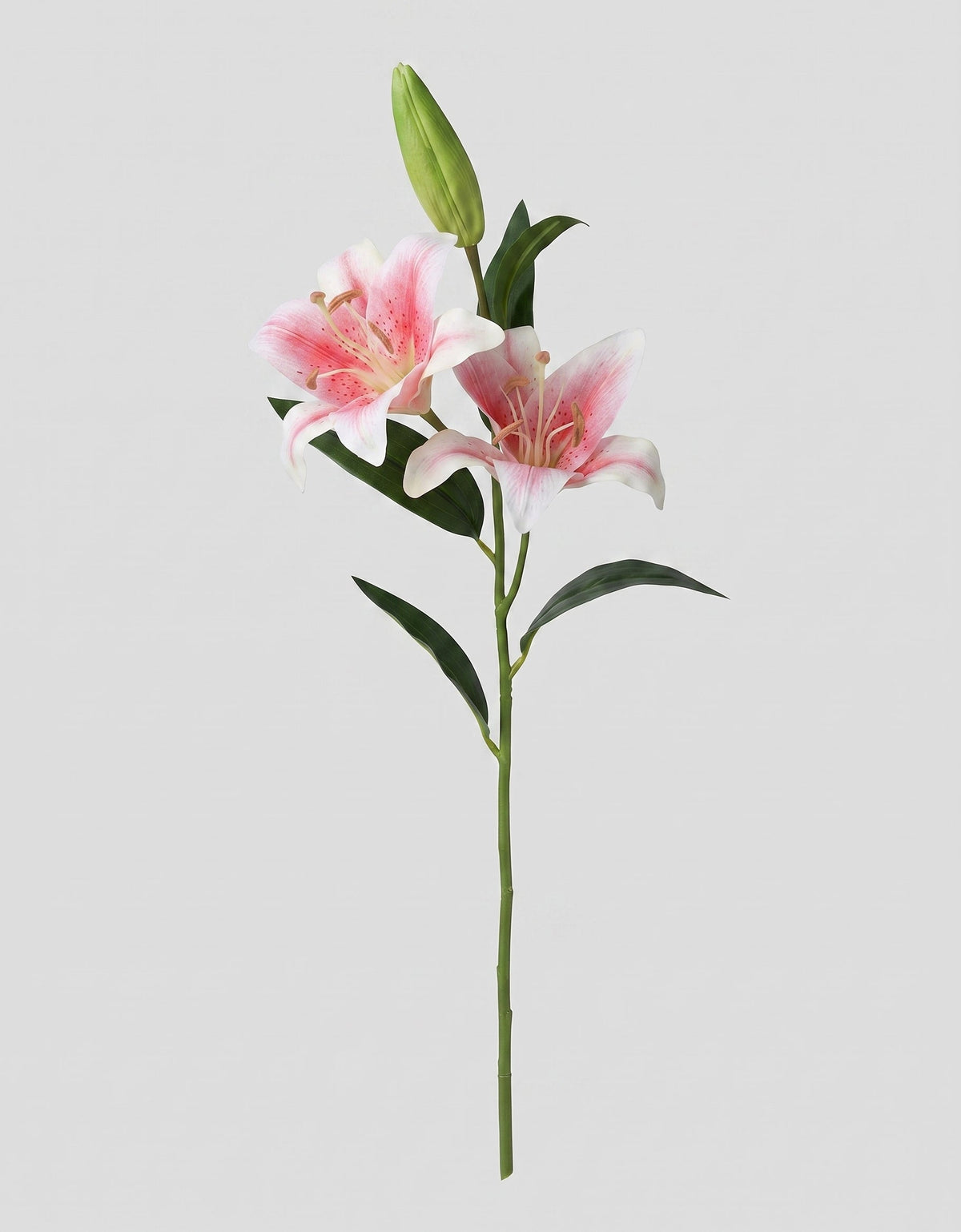 Casablanca Real Touch Large Lily Single Stem - Pink (edited v2)