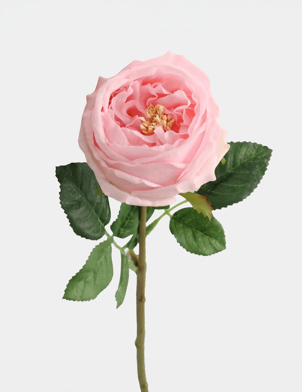 Real Touch English Austin Rose Single Stem - Flovery