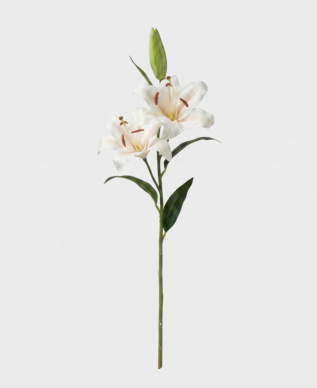 Casablanca Real Touch Large Lily Single Stem - White (edited v2)