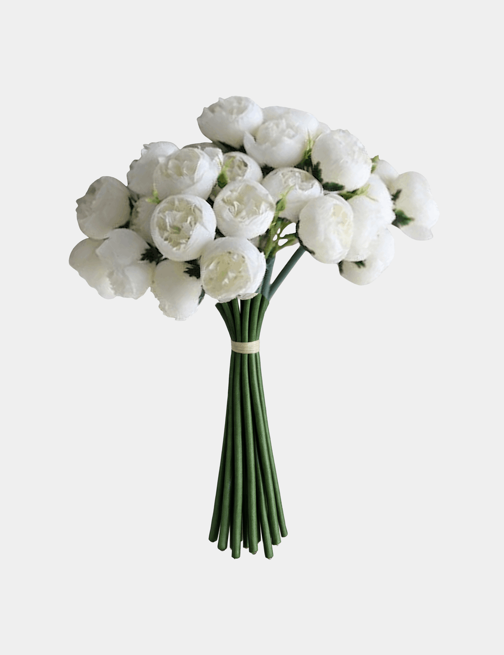 27 Mini Peony Stems Bundle - Flovery