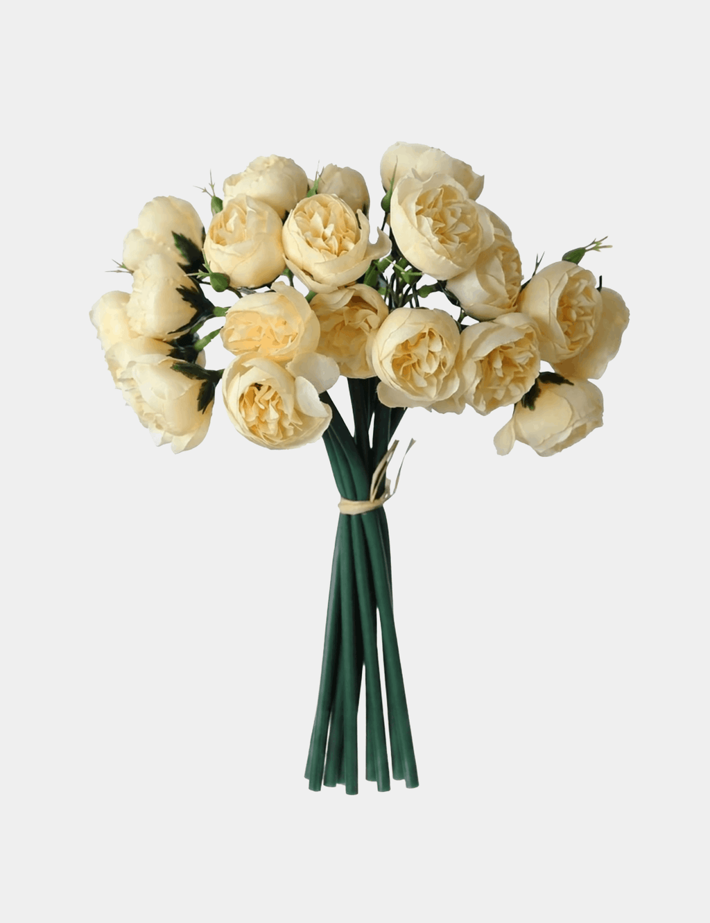 27 Mini Peony Stems Bundle - Flovery