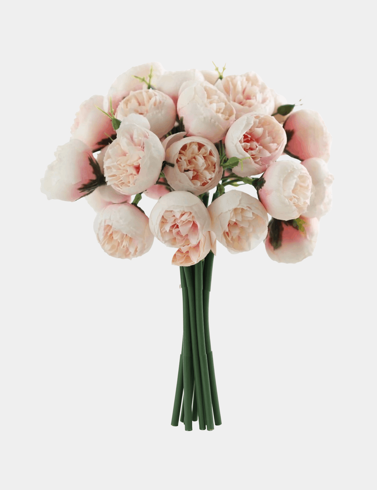 27 Mini Peony Stems Bundle - Flovery Main image