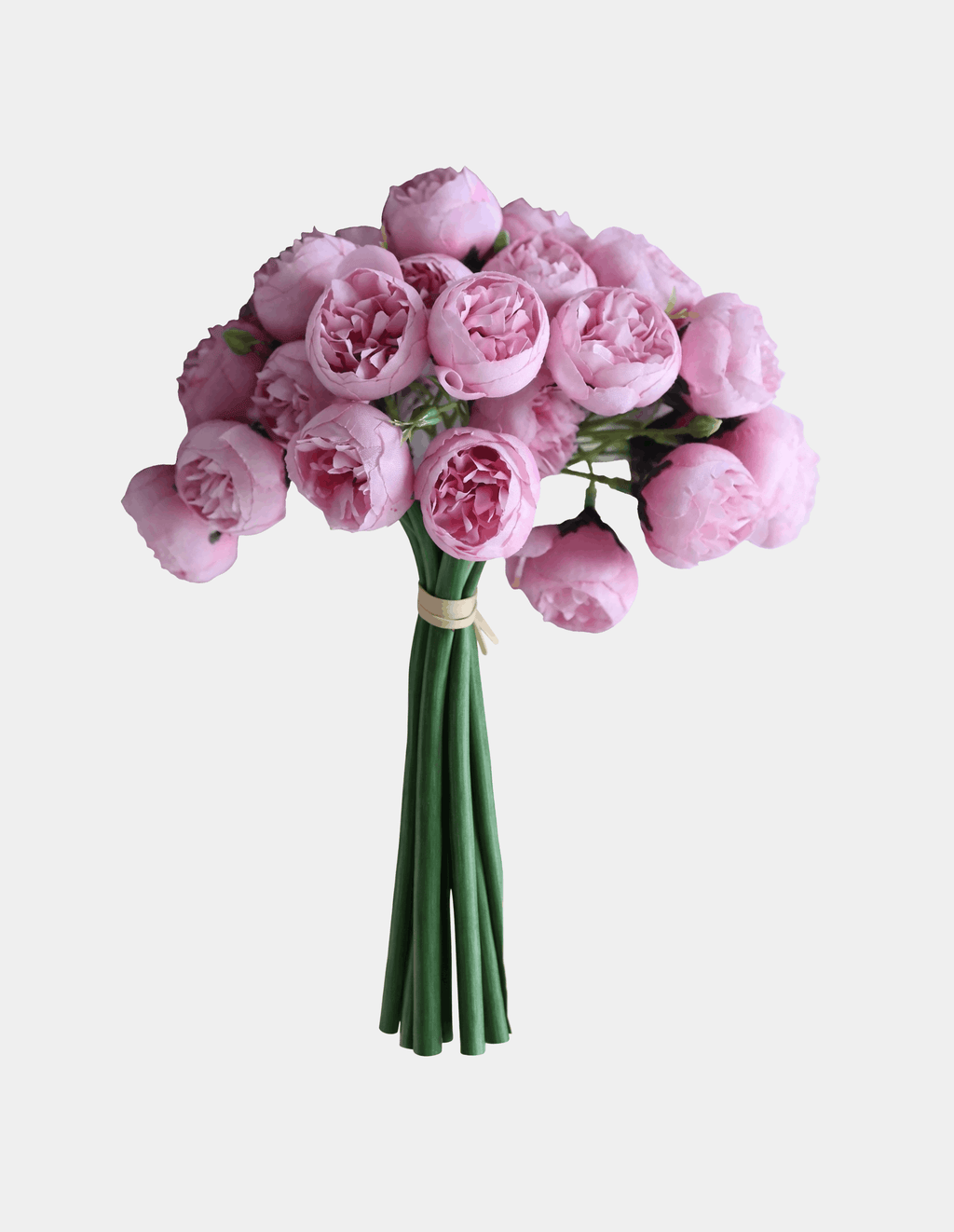 27 Mini Peony Stems Bundle - Flovery