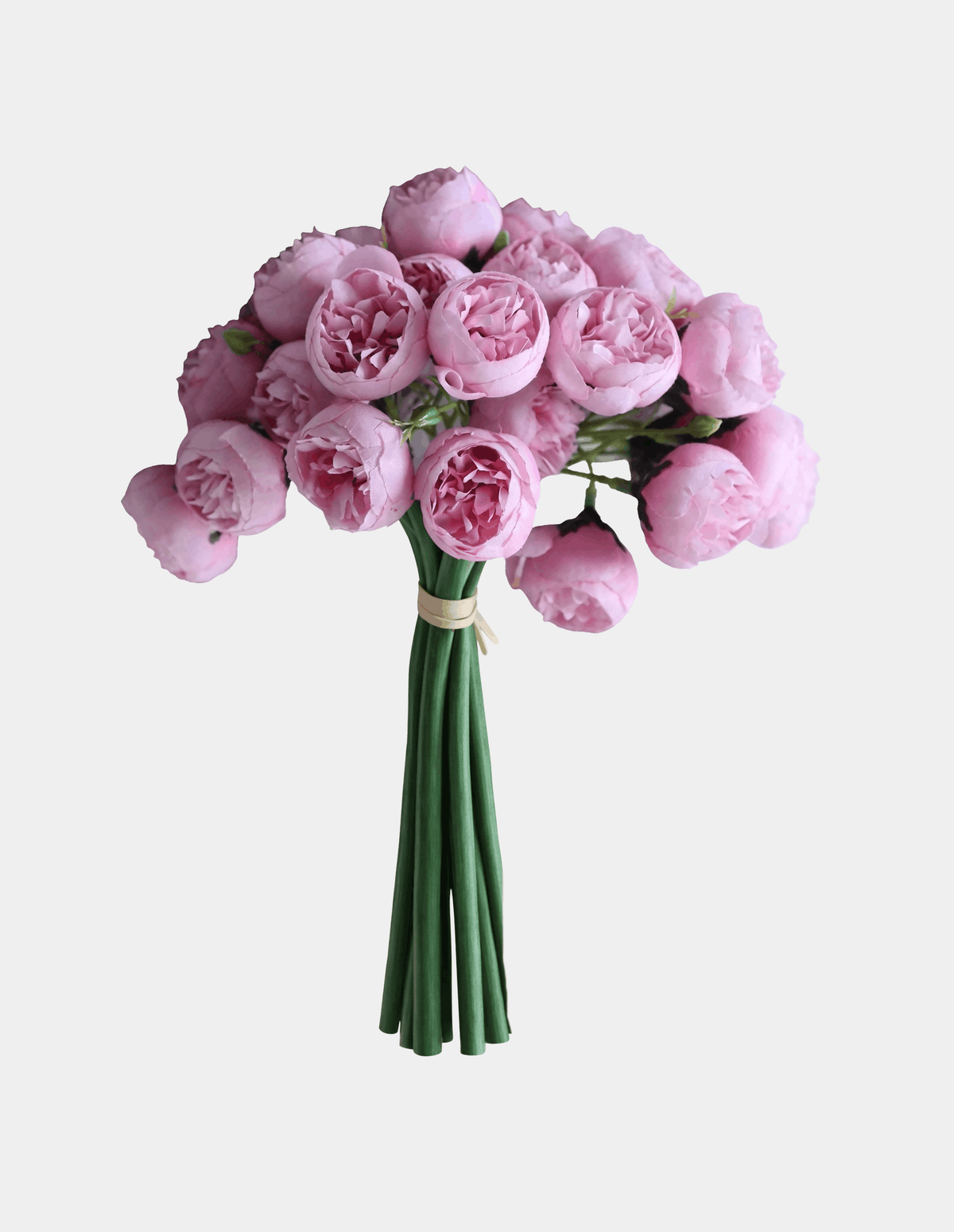 27 Mini Peony Stems Bundle - Flovery