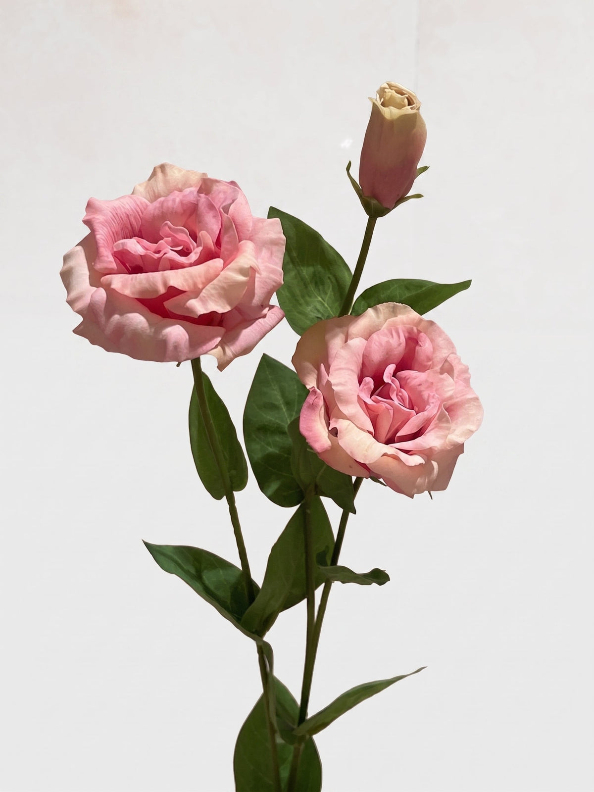 Real Touch Lisianthus Stem | Faux Eustoma with Bud and Foliage - Pink