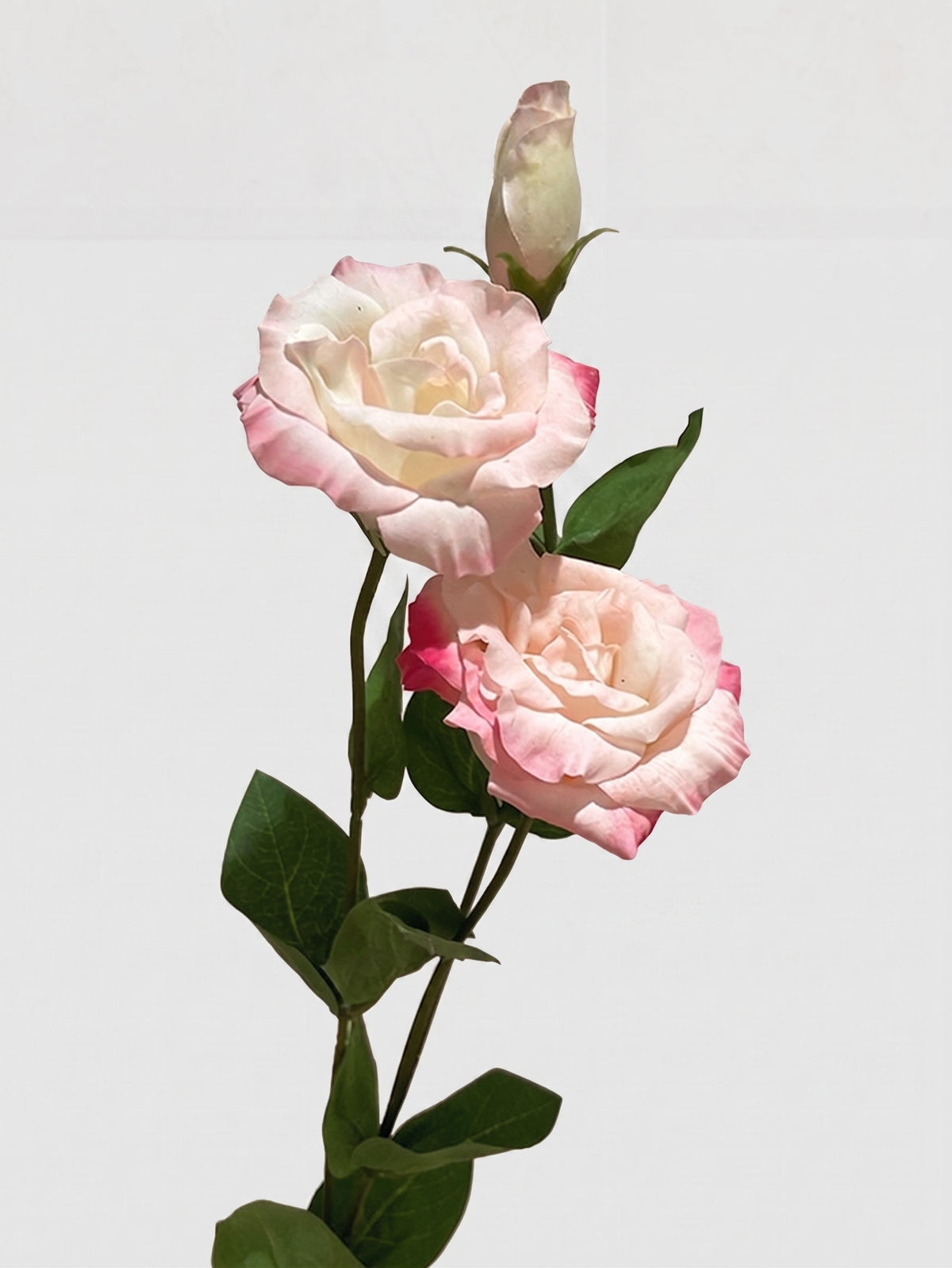 Real Touch Lisianthus Stem | Faux Eustoma with Bud and Foliage - Light Pink
