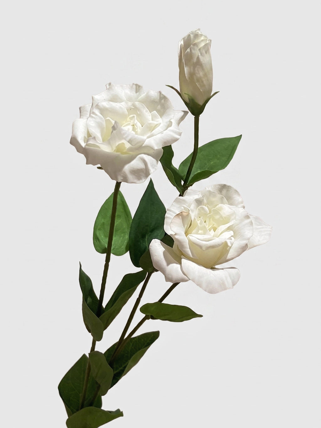 Real Touch Lisianthus Stem | Faux Eustoma with Bud and Foliage - White