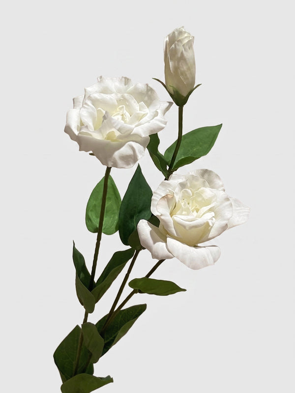 Real Touch Lisianthus Stem | Faux Eustoma with Bud and Foliage - White