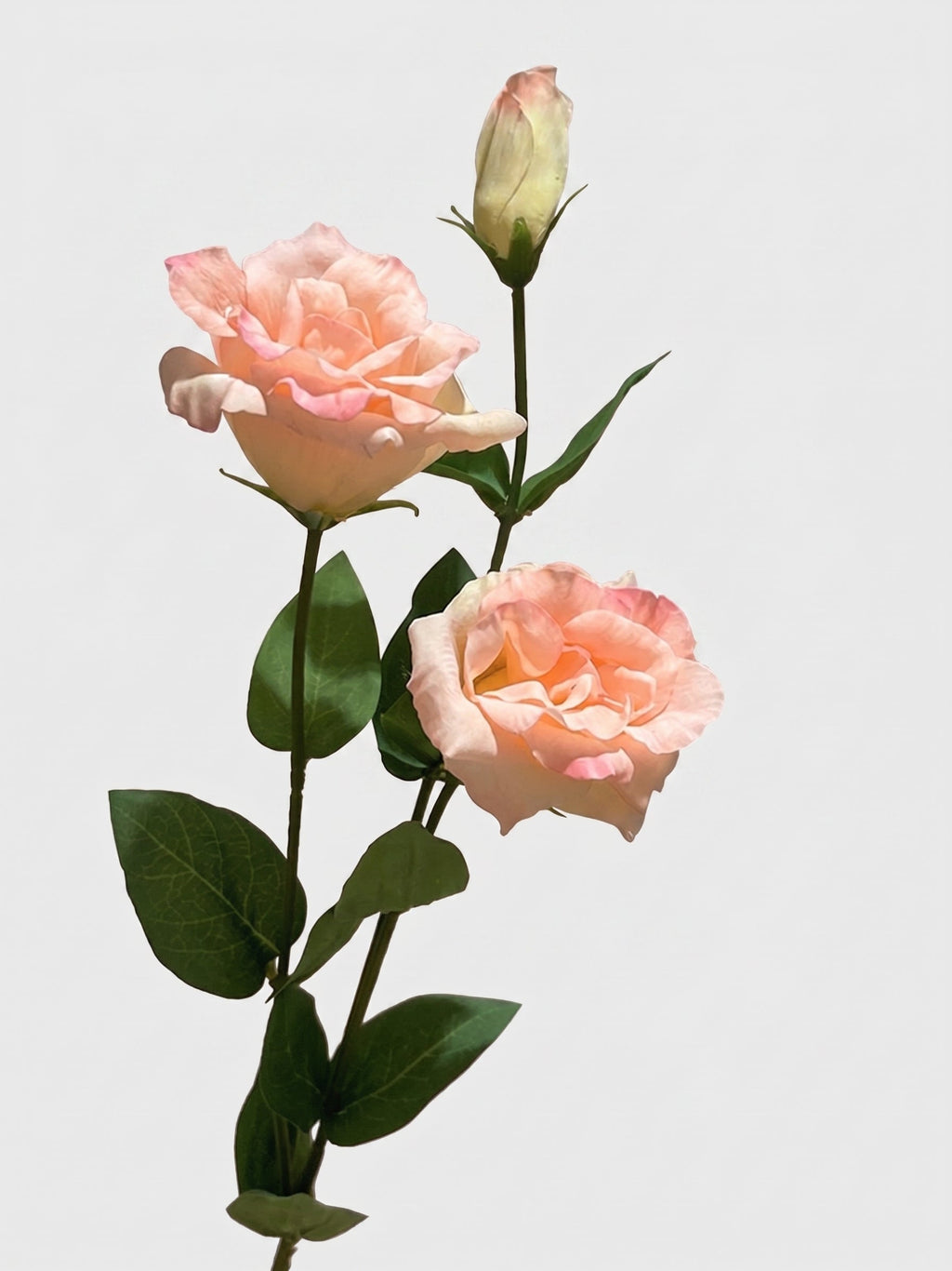 Real Touch Lisianthus Stem | Faux Eustoma with Bud and Foliage - Champagne