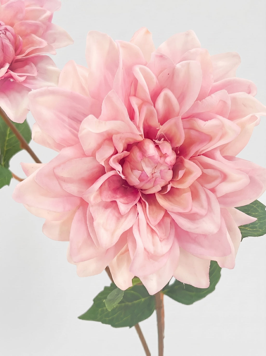 Real Touch Dahlia Stem | Light Pink Faux Dahlia 22" - Light Pink (extra)