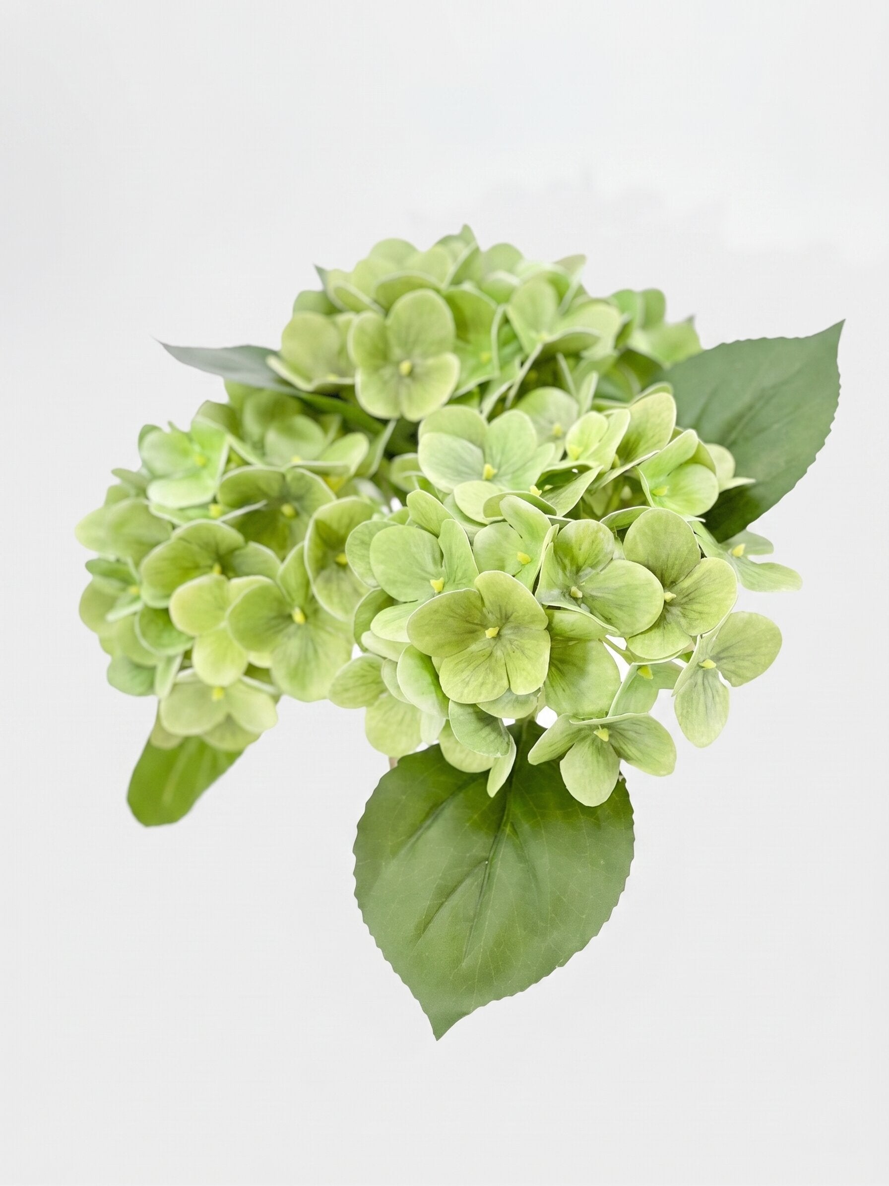 5-in Real Touch Hydrangea Stem Secondary image