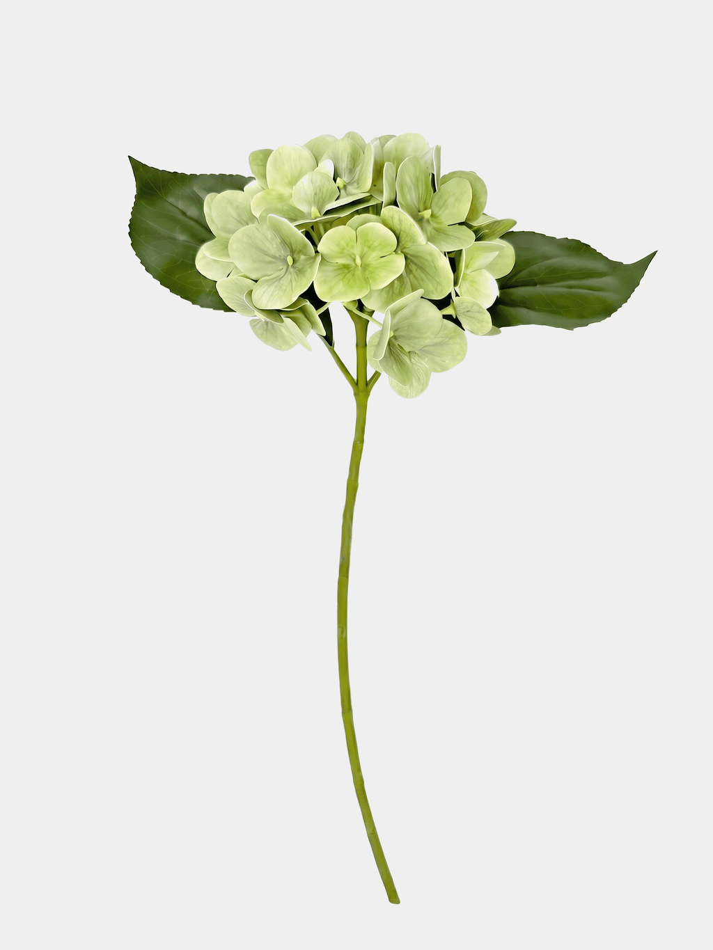 Real Touch Hydrangea Stem, Lifelike Faux Hydrangea Cluster - Green