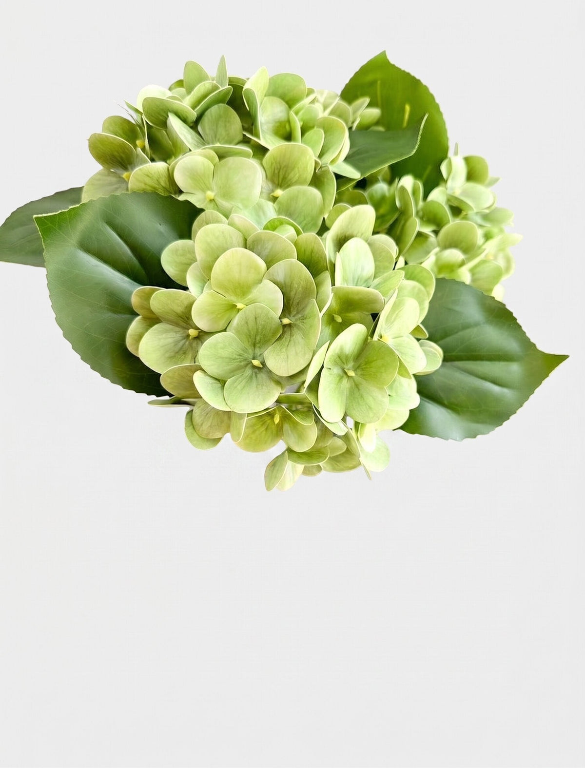Real Touch Hydrangea Stem, Lifelike Faux Hydrangea Cluster - Green (extra)
