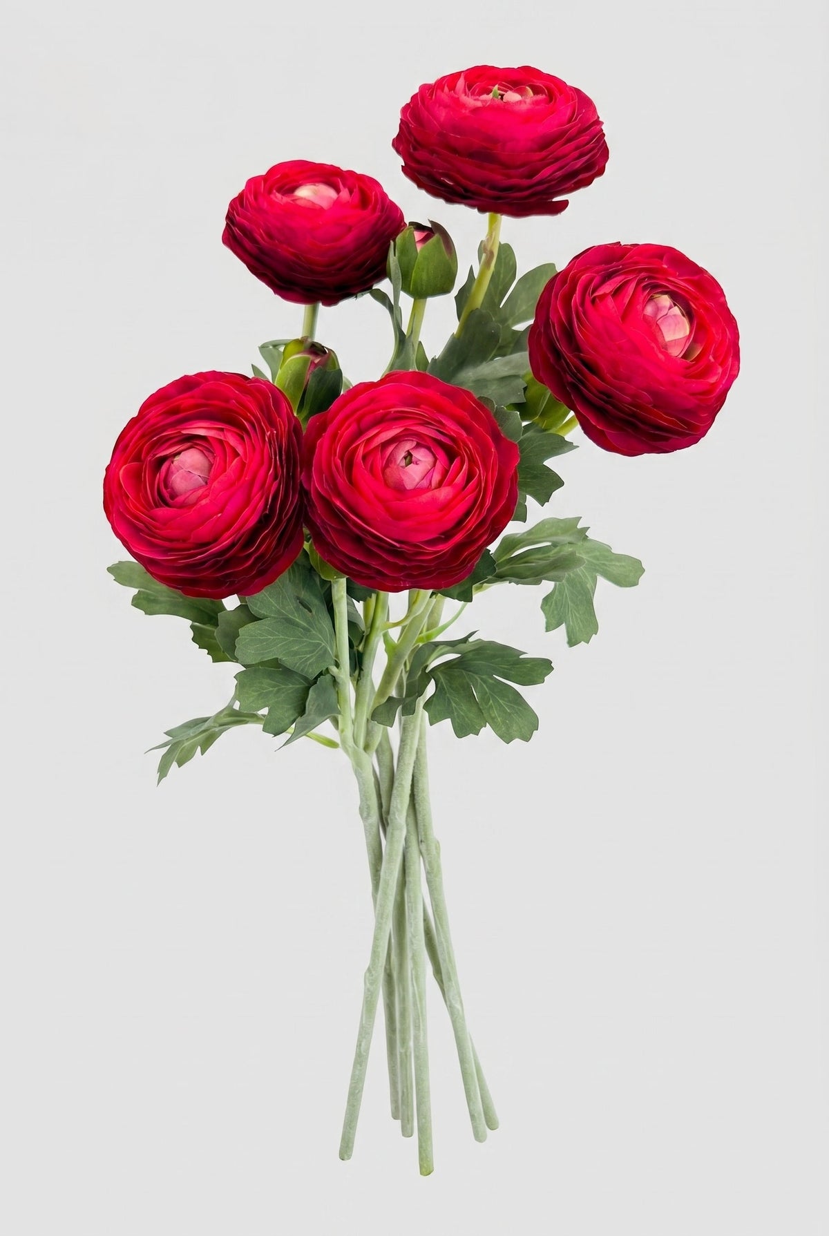 Ranunculus Stem | Realistic Faux Floral with Bud Spray - Red (extra)