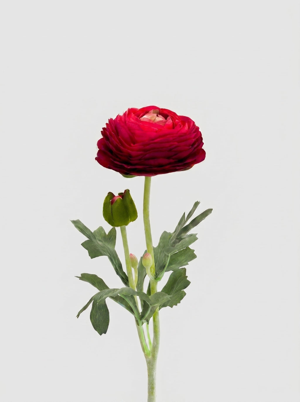 Ranunculus Stem | Realistic Faux Floral with Bud Spray - Red