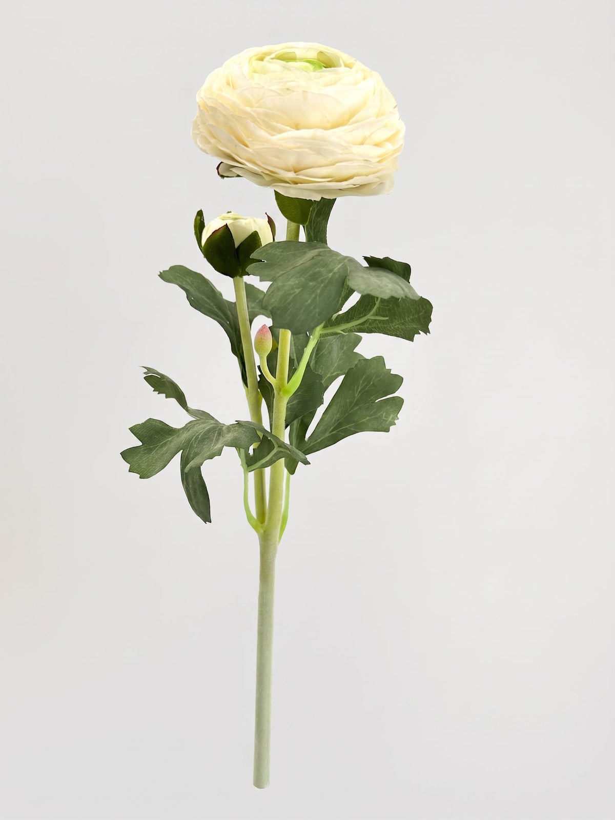Ranunculus Stem | Realistic Faux Floral with Bud Spray - Cream White
