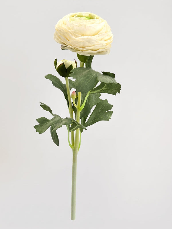 Ranunculus Stem | Realistic Faux Floral with Bud Spray - Cream White
