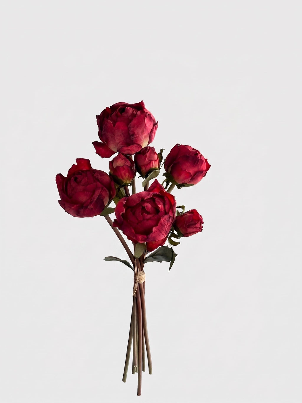 7 Stems Peony Bundle - Gallery