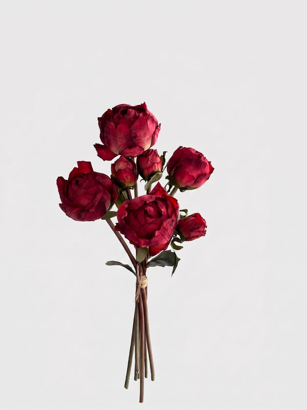 7 Stems Peony Bundle - Gallery