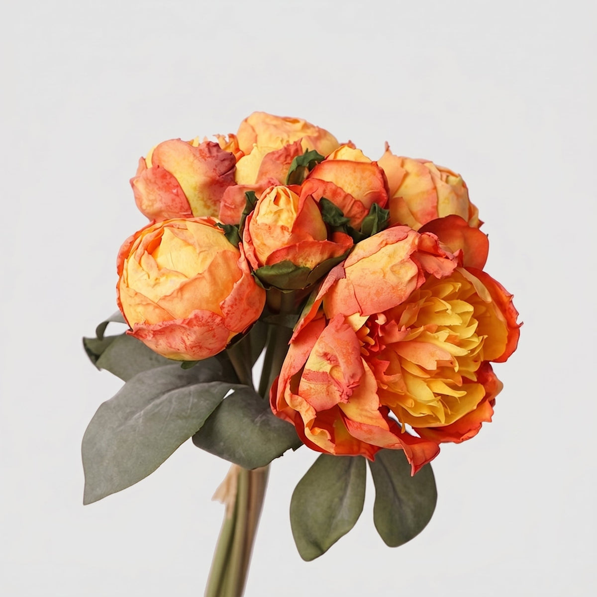 7 Stems Peony Bundle - Orange
