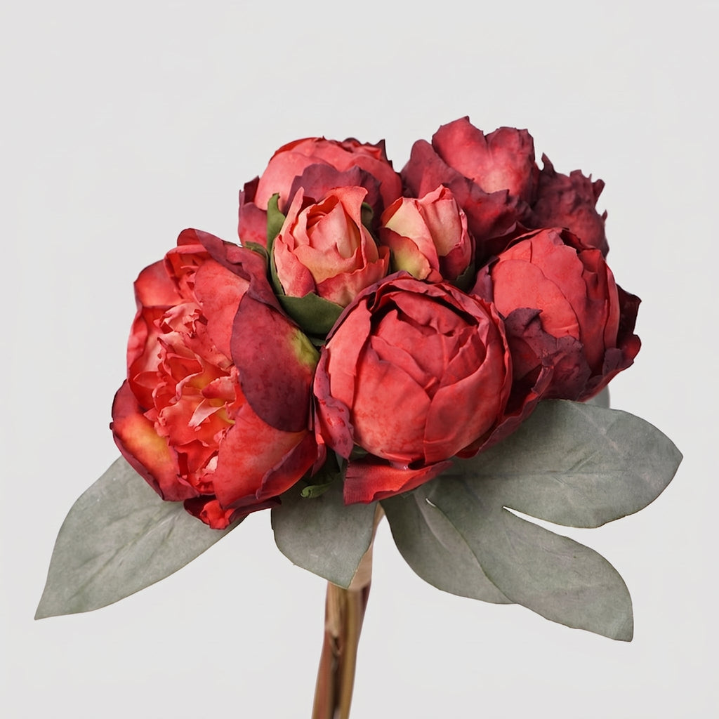 7 Stems Peony Bundle - Red