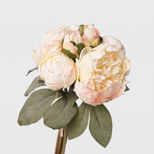 7 Stems Peony Bundle - White