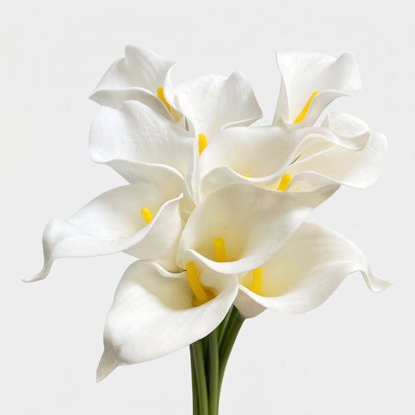 Small Calla Lily Bundle | Faux Real-Touch PU Lily 14.5" - White