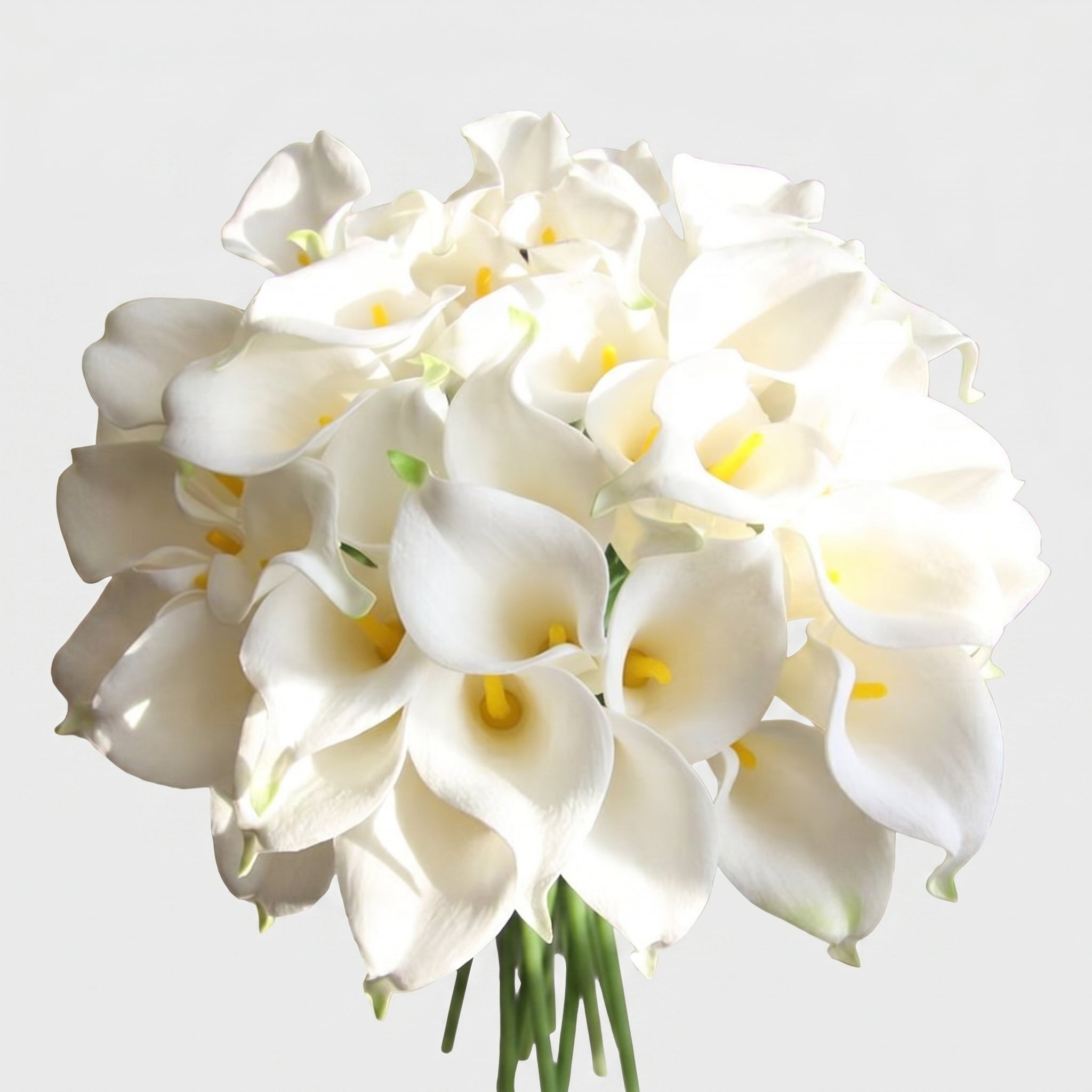 14.5-in Real Touch Calla Lily Stem Secondary image