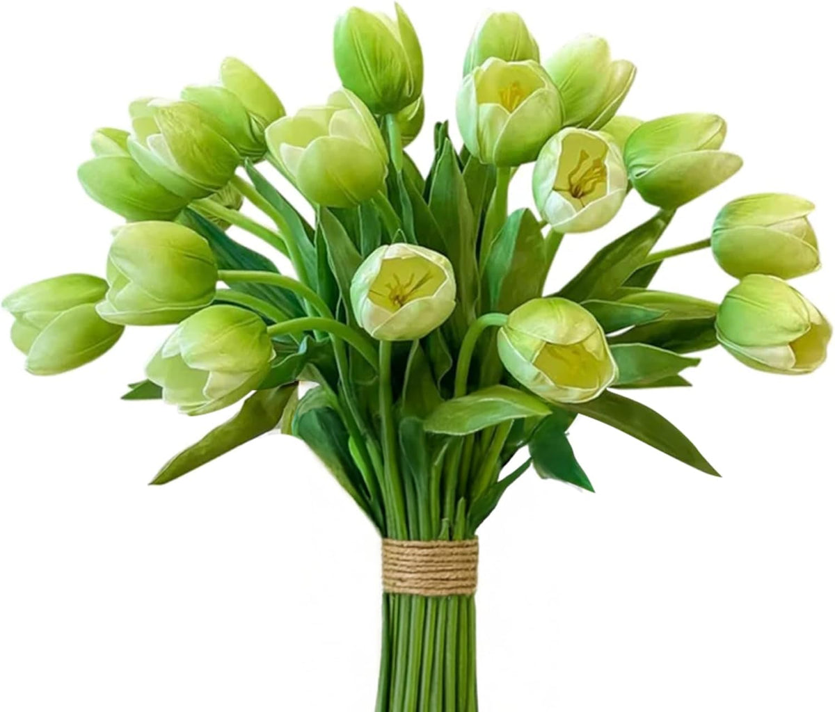 20-in Real Touch Tulip Stems, Set of 6 - Green