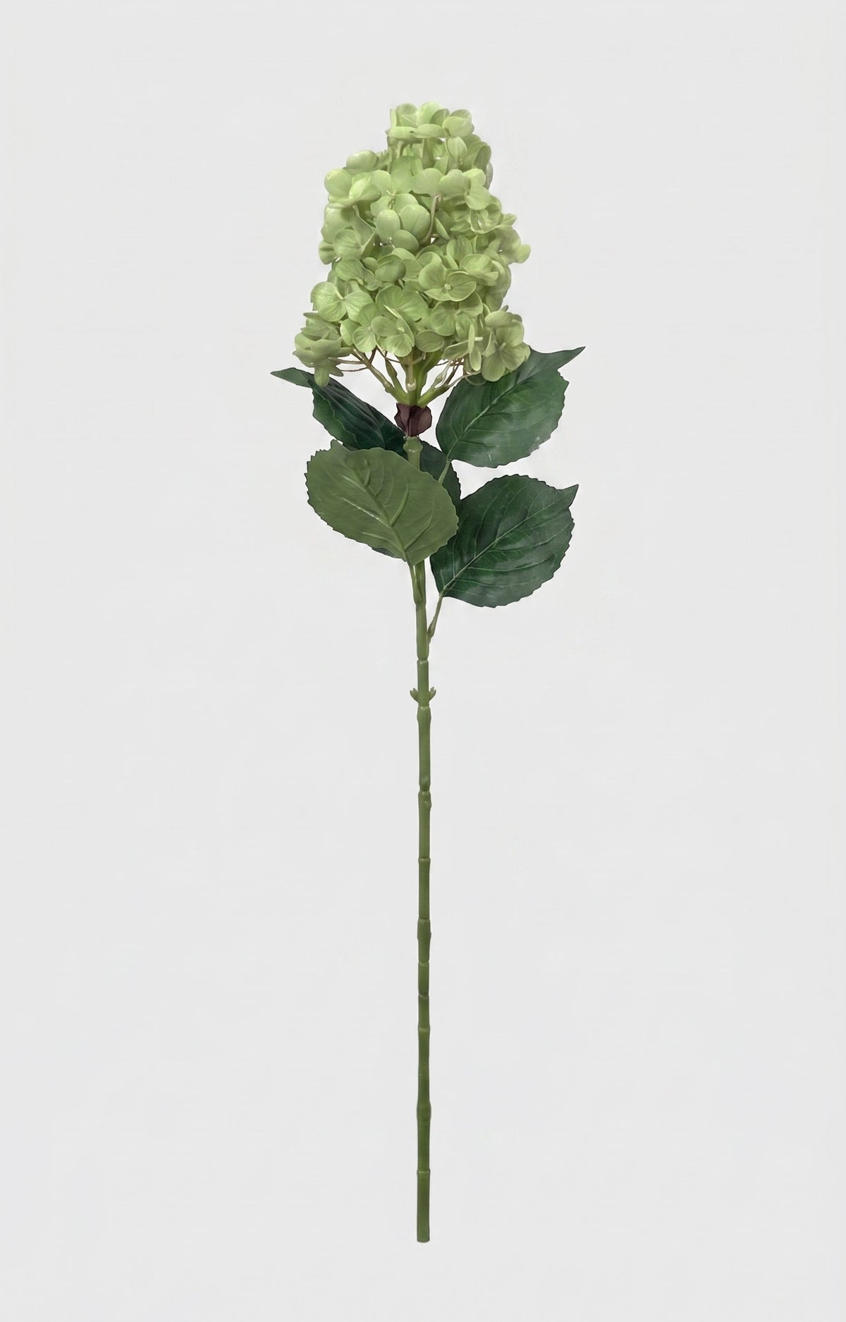 Real Touch Pointy Hydrangea Single Stem - Green (edited)