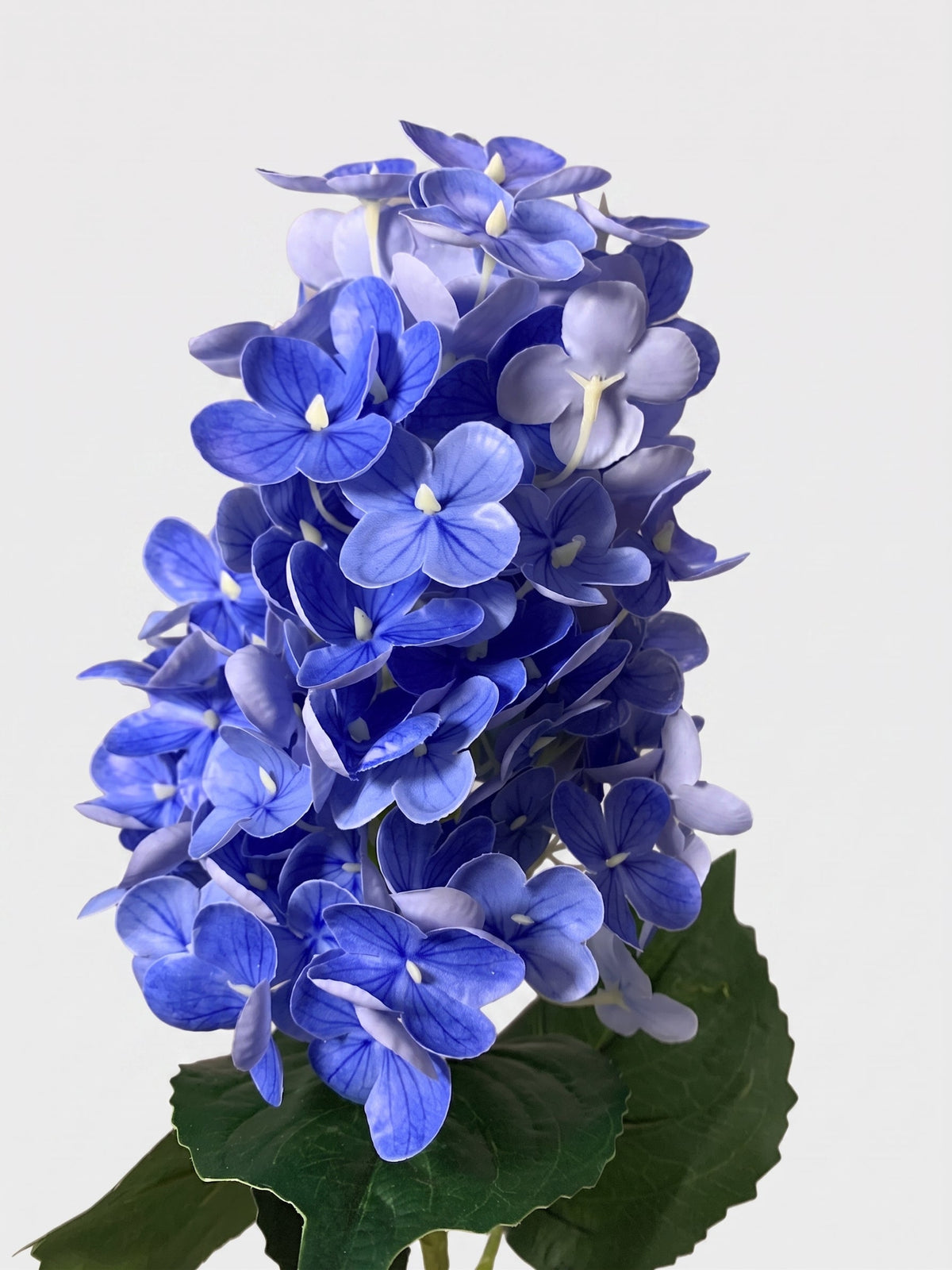 Real Touch Pointy Hydrangea Single Stem - Blue (edited) Main image