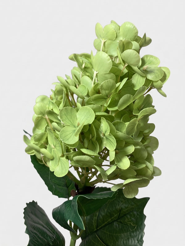 Real Touch Pointy Hydrangea Single Stem - Green (edited)