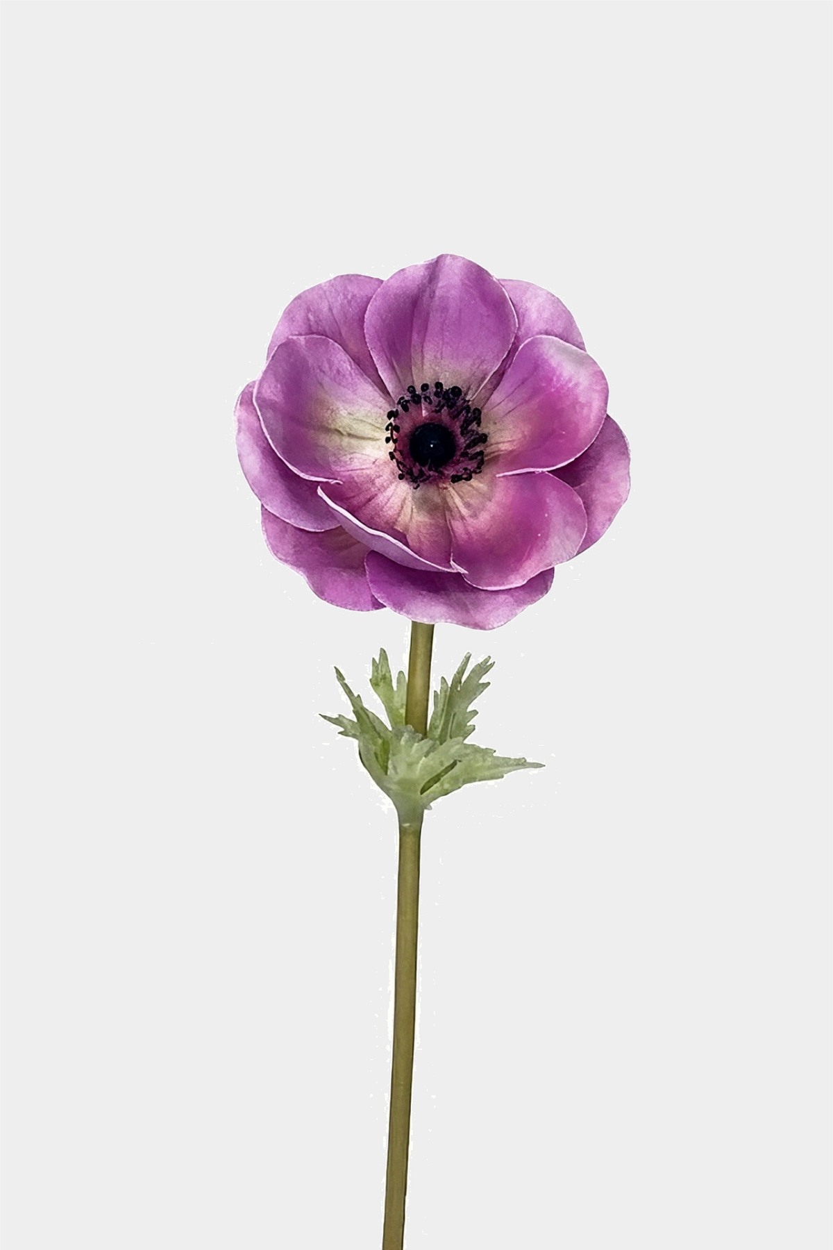 Real Touch Anemone Poppy Stem front view Main image