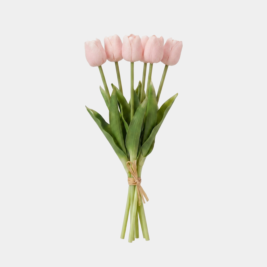 5 Fork Tulip Bundle - Shallow Powder (Studio)