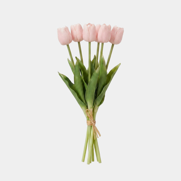 5 Fork Tulip Bundle - Shallow Powder (Studio)