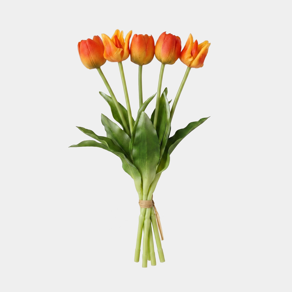 5 Fork Tulip Bundle - Sunset Red (Studio)
