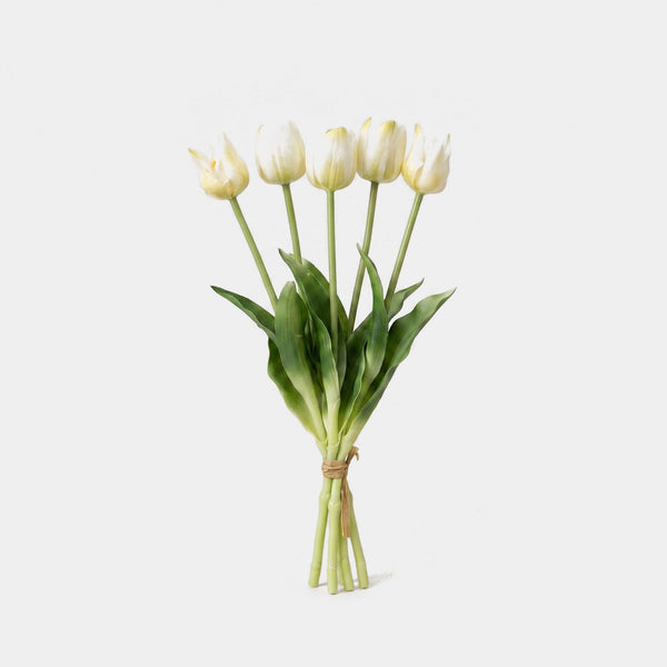 5 Fork Tulip Bundle - White (Studio)
