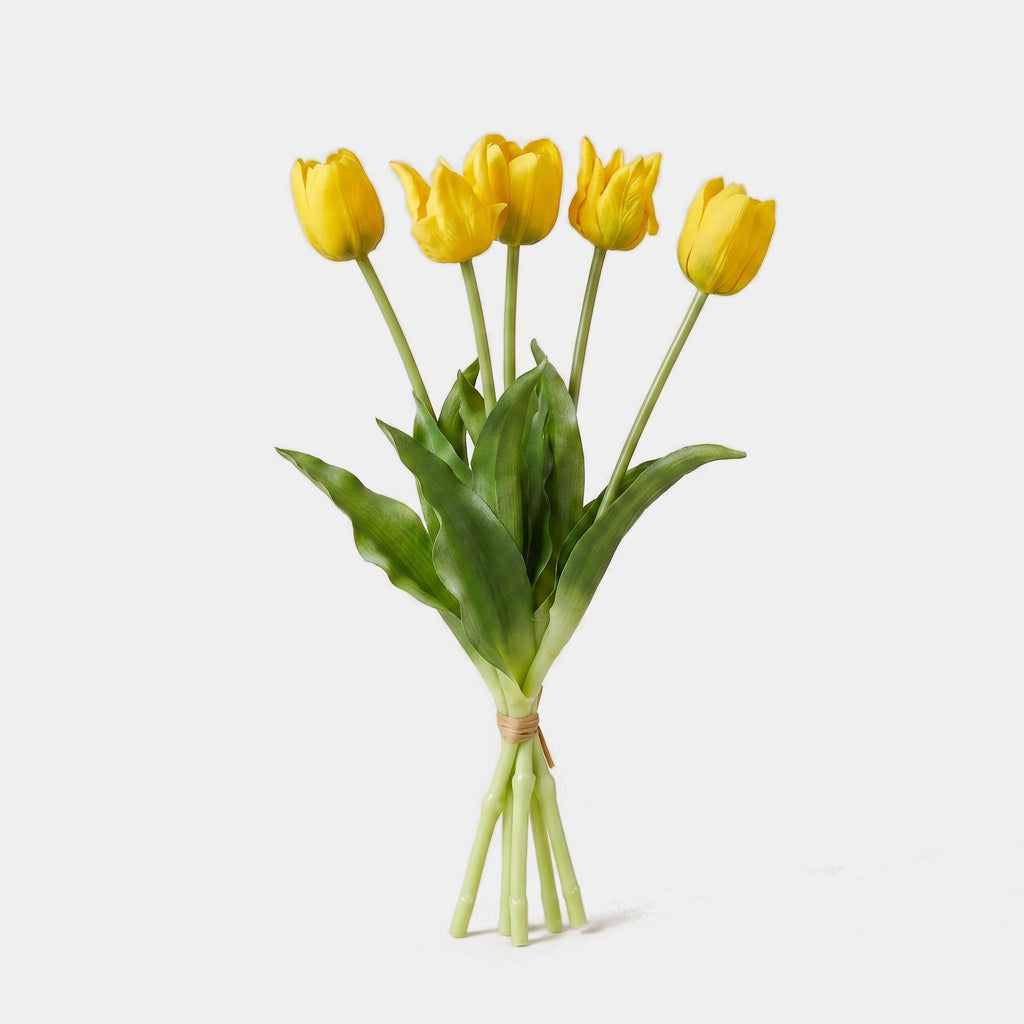 5 Fork Tulip Bundle - Yellow (Studio)
